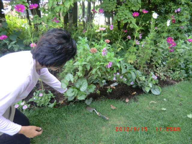 c0078586_22502724.jpg