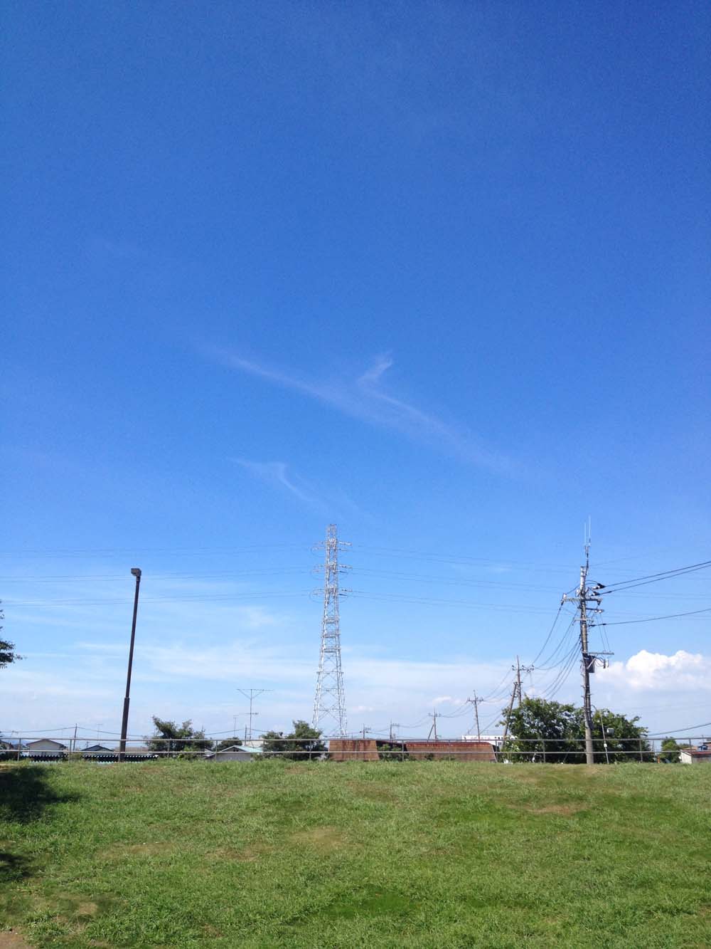e0078187_1312378.jpg