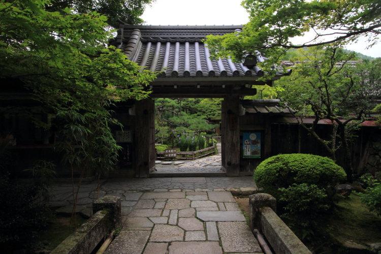 e0051888_4274718.jpg