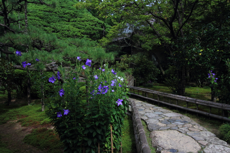 e0051888_4282721.jpg