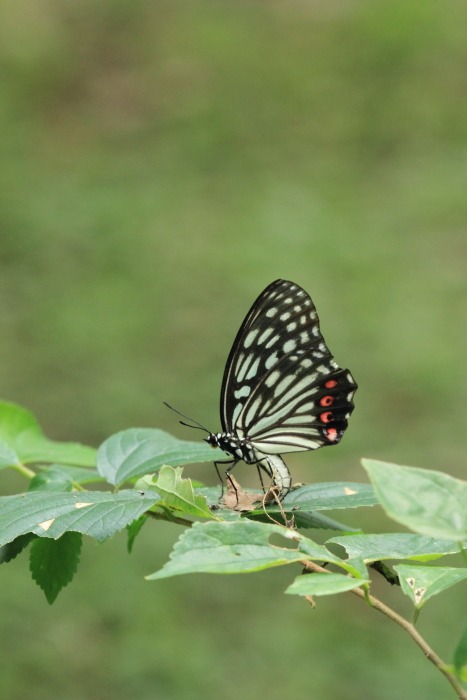 b0194593_225655.jpg