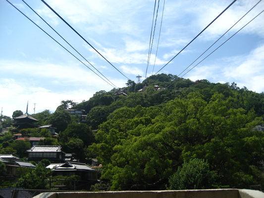 d0055395_20324371.jpg