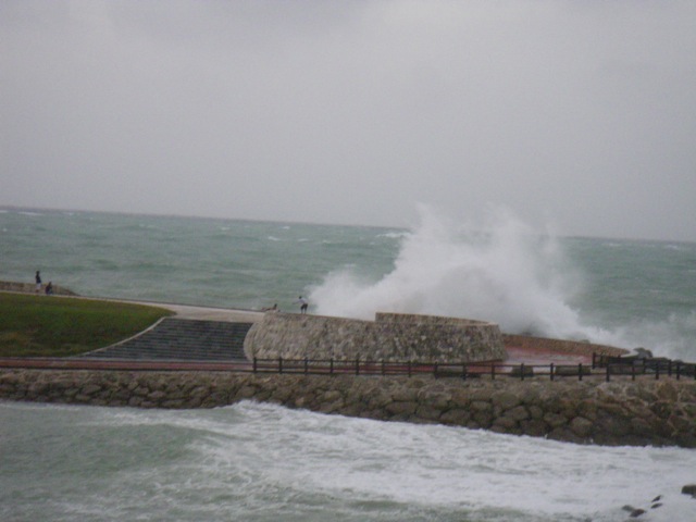 c0193396_1939118.jpg