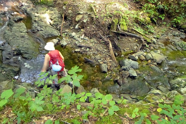 e0137200_20102625.jpg