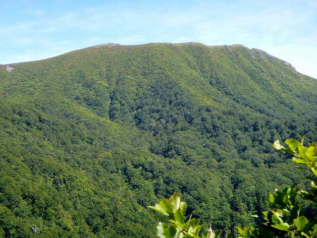 e0137200_2010442.jpg