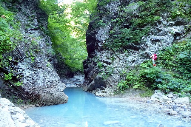 e0137200_2013676.jpg