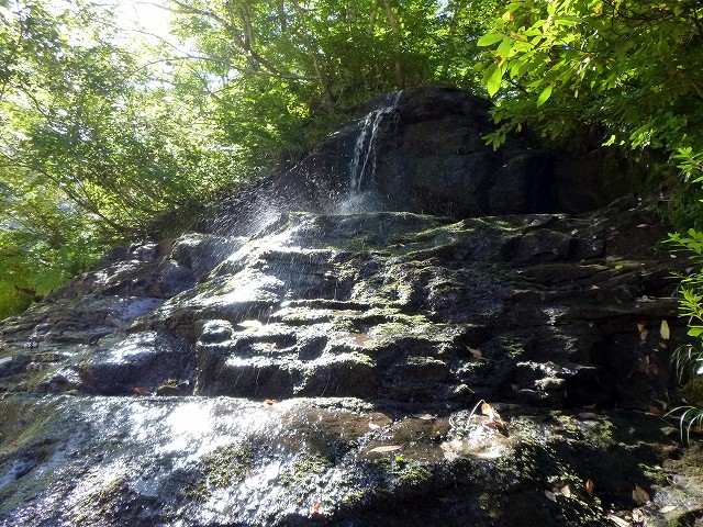 e0137200_2034169.jpg