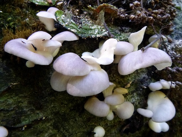 e0137200_205413.jpg