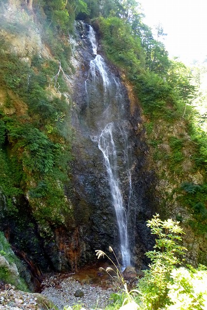 e0137200_2074088.jpg