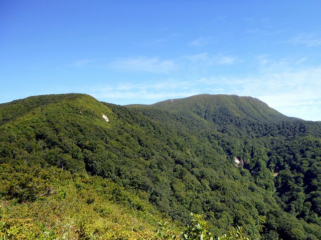 e0137200_2081926.jpg