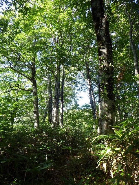 e0137200_2095093.jpg