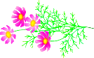 d0057701_12394411.gif