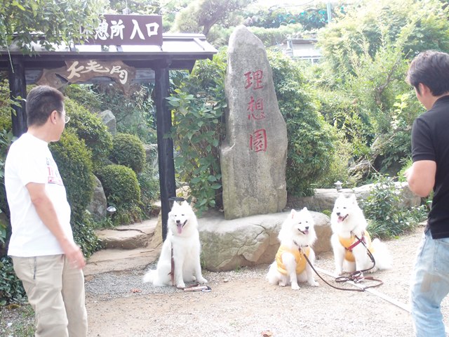 e0018604_10493037.jpg
