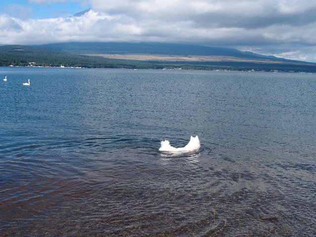 e0018604_1531083.jpg