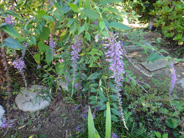 c0105306_140125.jpg