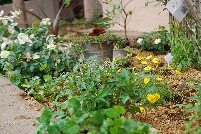 e0128909_1711053.jpg