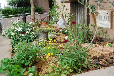 e0128909_1781080.jpg