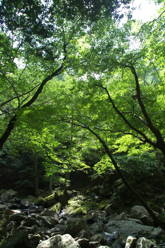 f0221510_754029.jpg