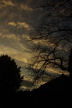 e0163212_13115991.jpg
