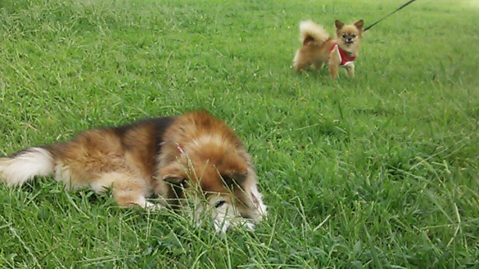 c0029913_2341525.jpg