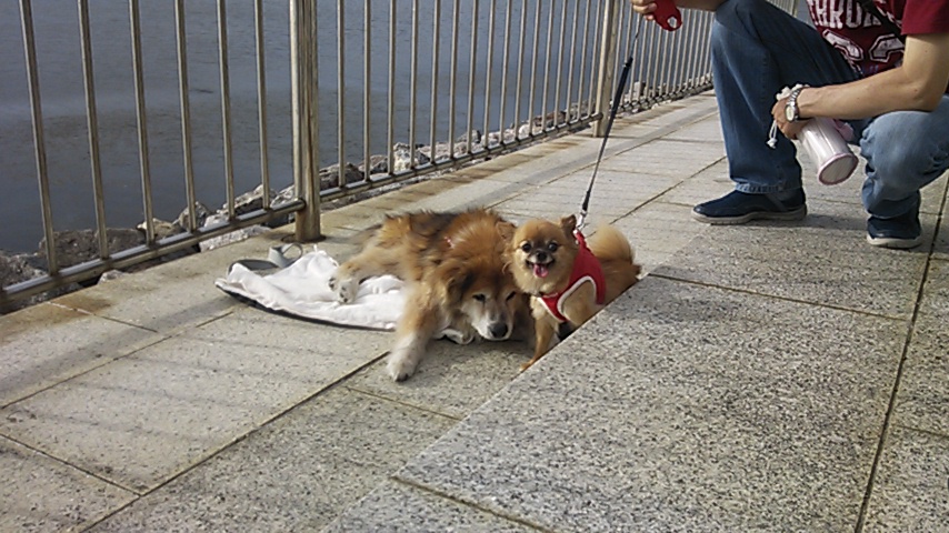 c0029913_23455875.jpg
