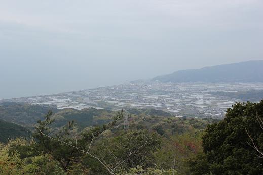 e0101917_8144434.jpg