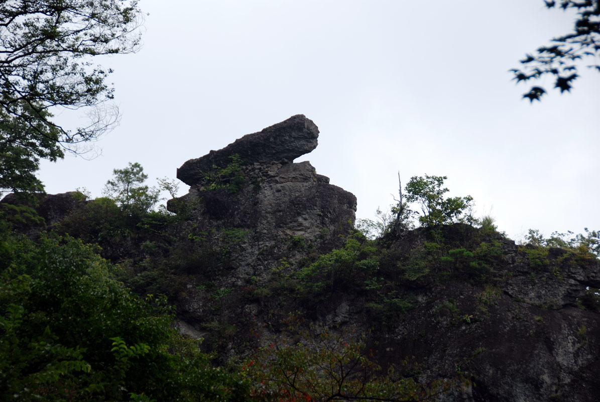 f0206417_12533125.jpg