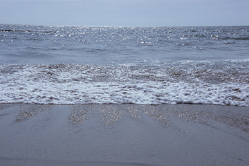 b0259218_2022518.jpg