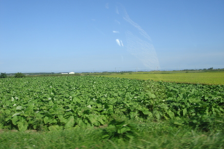 d0250123_21534444.jpg