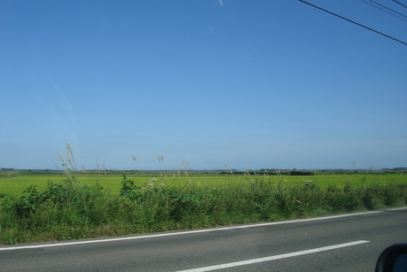 d0250123_2153455.jpg