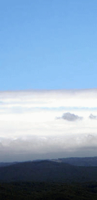 f0227323_115693.gif