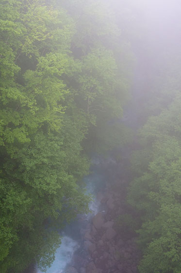 e0025030_10301143.jpg