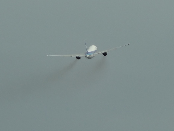 d0219834_19574295.jpg
