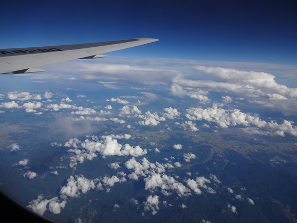 d0219834_2021914.jpg