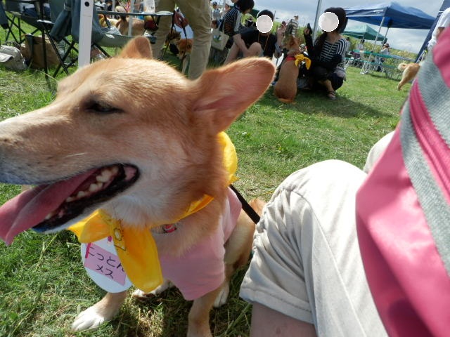 d0169340_0423374.jpg