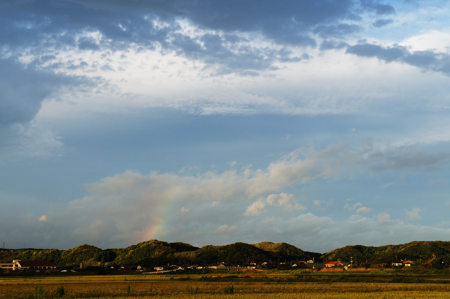 f0214649_1534821.jpg