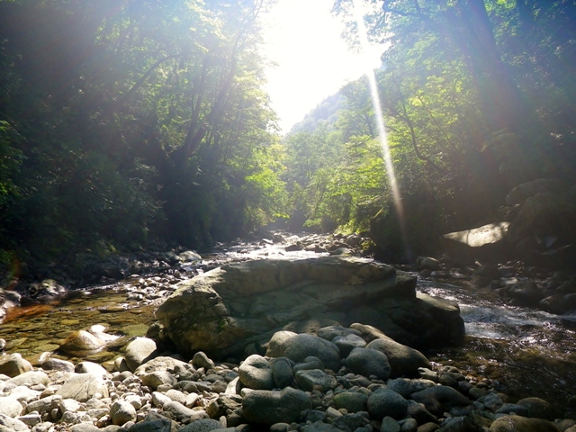 b0177355_15183967.jpg