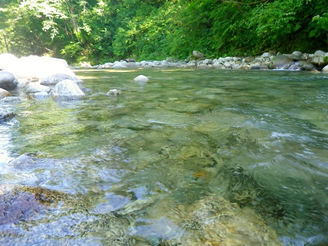 b0177355_15185360.jpg