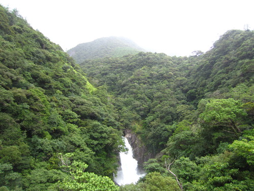 b0160957_20103134.jpg