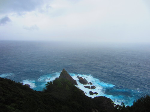 b0160957_2014647.jpg