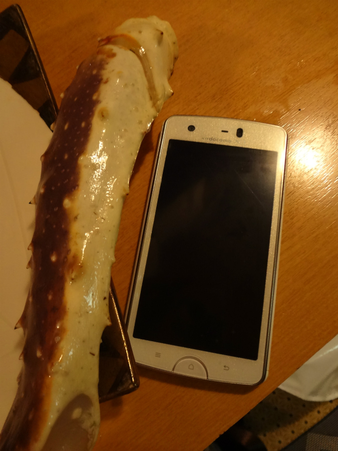 e0208058_11172688.jpg