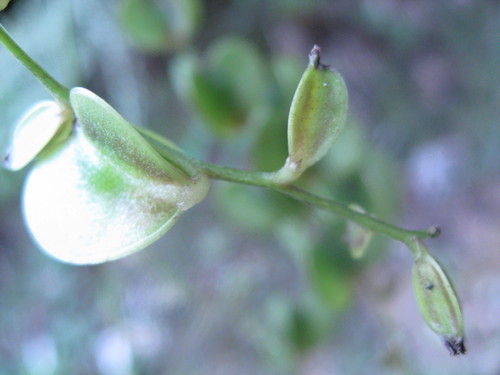 b0267163_11445553.jpg