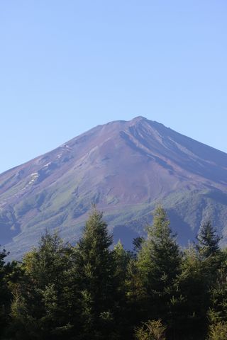 f0107364_1650877.jpg