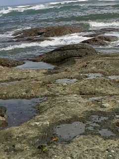 e0221866_23264661.jpg