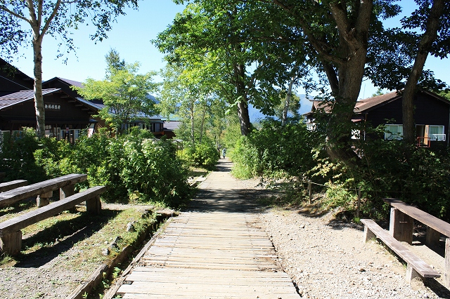f0052068_14125711.jpg