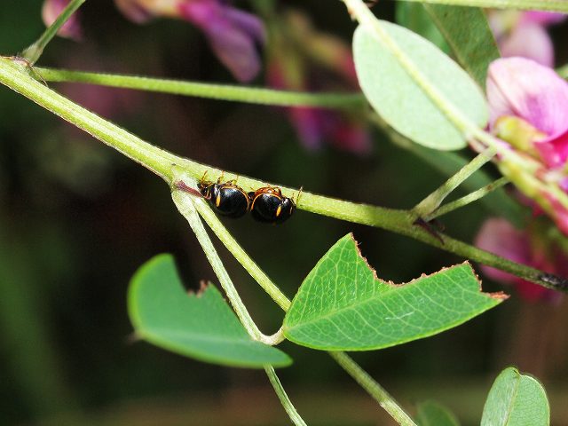 b0135573_2241798.jpg