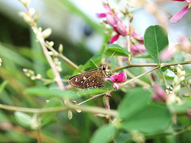b0135573_224552.jpg