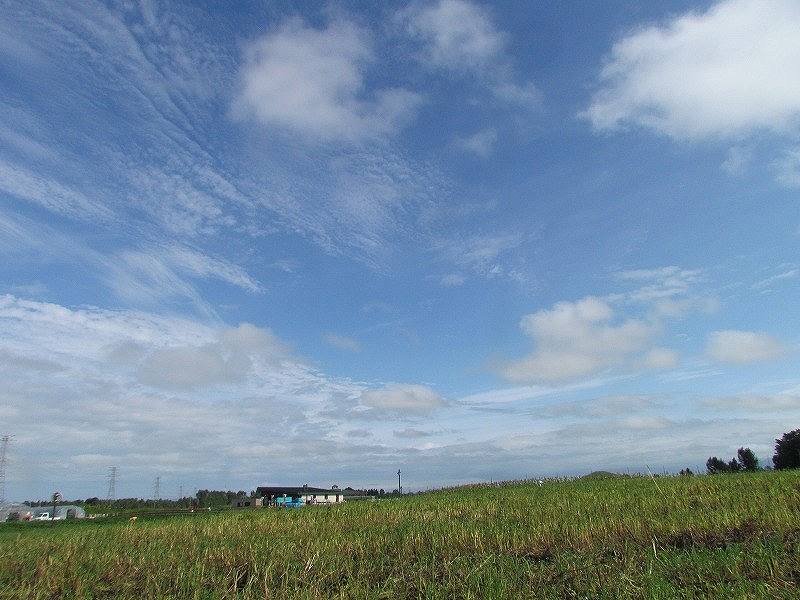 c0183777_13171084.jpg