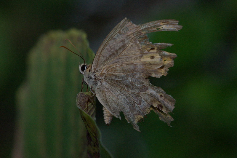 f0090680_2224461.jpg