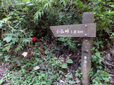 a0043982_20581240.jpg